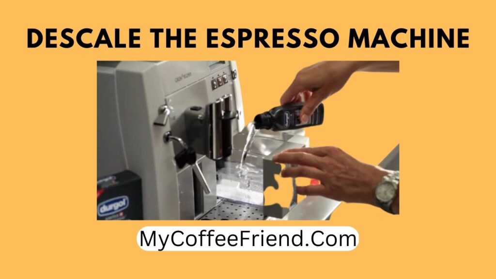 How to Clean Breville Espresso Machine? Descale the machine